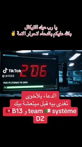 #b13 #team système DZ