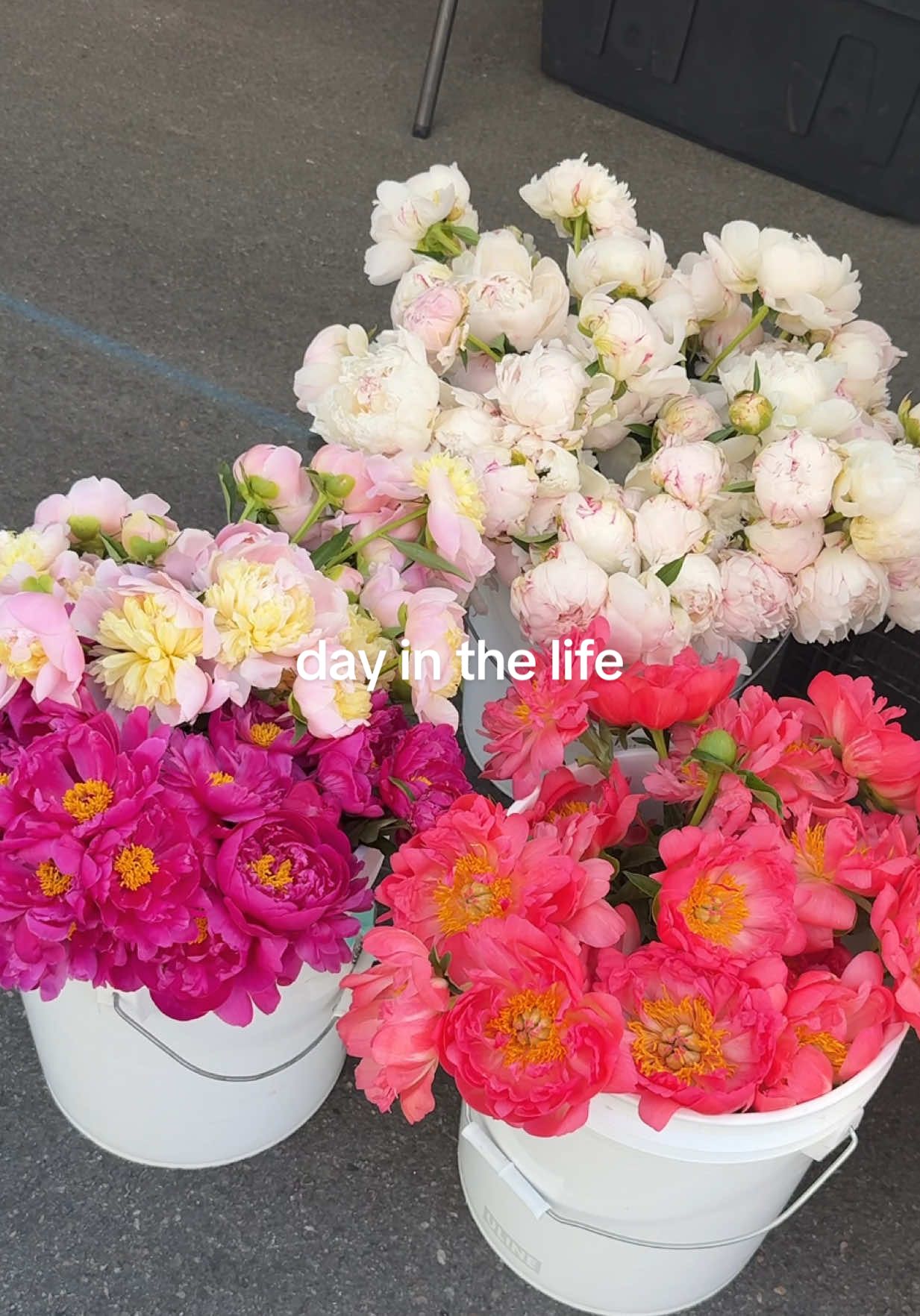 @U Beauty Skincare favorites!!! MALUGARCIA20 for a little 💸 #ubeauty #dailyskincare #skincareroutine #fyp #foryou #ditl #diml 