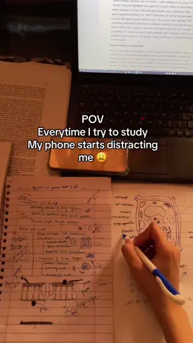 Stop wasting time, download Bonfire 🔥 and stay productive! #studywithme #studentlife #studytips #students #motivation #aesthetic #foryoupage #school #studyvlog #studyenglish 