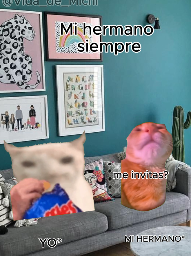 Ojalá que se atore 😐 #gatitoslindos #gatosgraciosos #gatosdivertidos #funnyvideos #catlover #michis #mamá #cocina #story #storytime #momentosdivertidos 