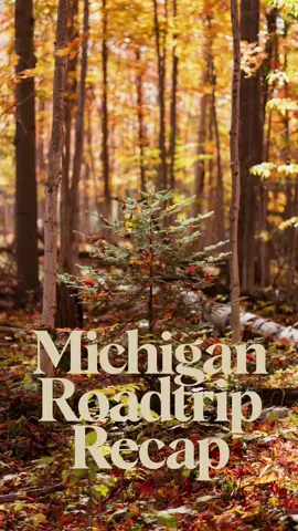 From my roadtrip around Michigan last Fall (October, 2024).  #michigan #photography #fujifilm #canon 