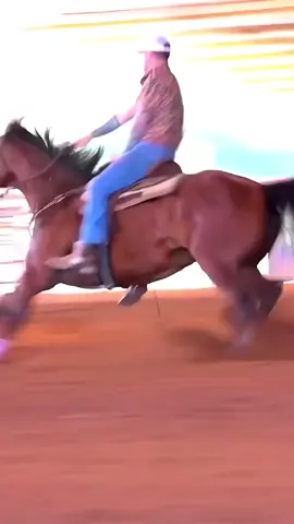 Hush Money said hold my purse 😏 @Fallon Taylor #barrelracer #horsesontiktok #horsesoftiktok 