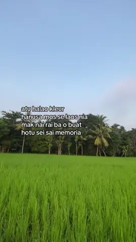 #fyppppppppppppppppppppppp #imsad 