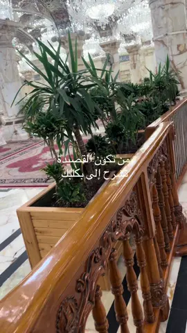 #ربي_اشرح_لي_صدرى_ويسر_لي_أمري #ونعم_بالله_العلي_العظيم #العراق🇮🇶 #النجف_الأشرف 