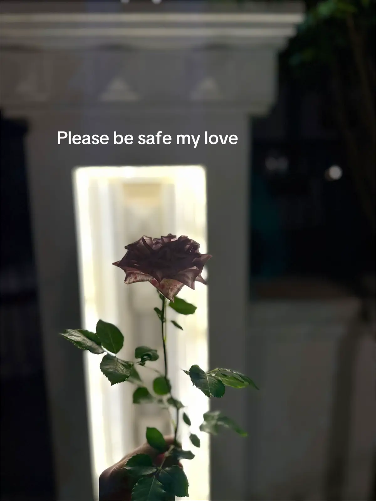 #my #Love 