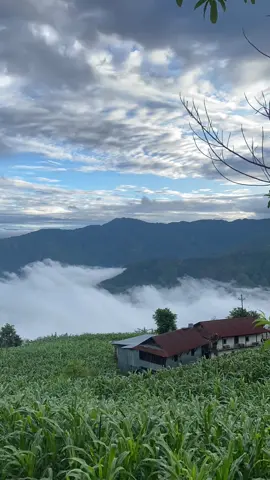Good morning from heaven 🍃☺️ #panchtharmuser #typ #foryou 