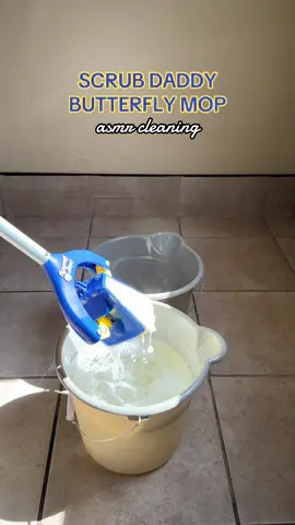 I guess the Scrub Daddy Butterfly Mop is trending again because I’ve had a few questions on a post from when I first bought this two years ago. They don’t charge the oversized fee on here (that I know of) and it’s way cheaper now. 2 years later and it still works like I did when I first got it.  It soaks up a lot of liquid but I still recommend getting additional mop heads if you like this style of mop. Also recommend using different buckets so you don’t mop with dirty water. #mopdaddy #scrubdaddymop #butterflymop #moppingasmr 