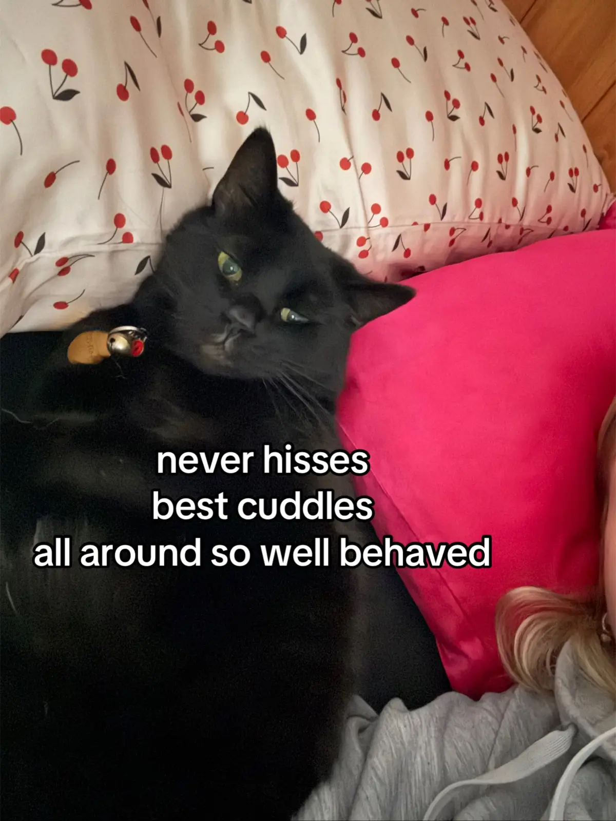 i get it tho #blackcat 