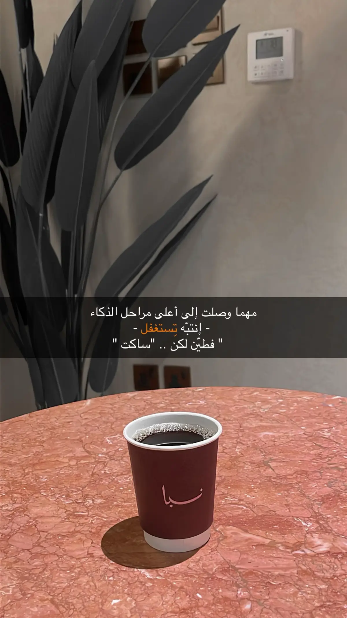 #اكسبلورexplore 