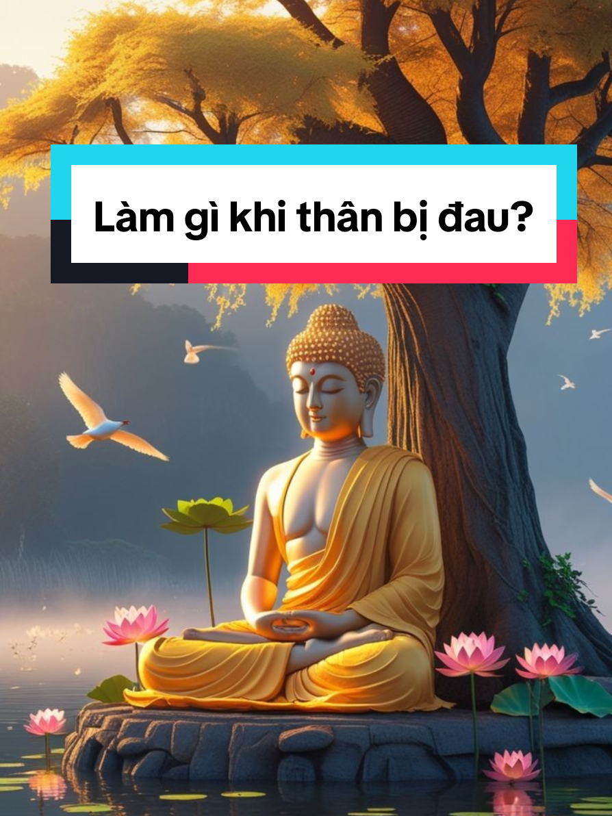 Làm gì khi thân bị đau? #fyp #viral #trending #xuhuong #phatphapnhiemmau #danhthucbanthan  #truyencamhung 