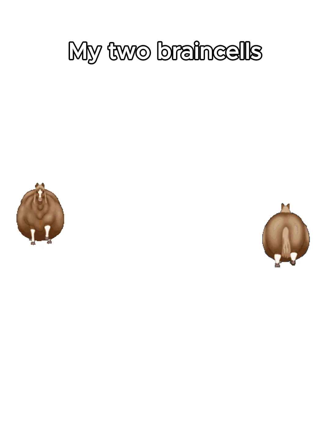 caption #Go #Spinnighorsesticker #sticker #spinninghorse #trand #trend #funnysticker #horse #2 #2horse #imnew #spinning #brownhorse #gotomake #funny #cute