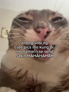 rate ko mga cute pics nyo🥰#fyp #4u #foryou #viral #fyppppppppppppppppppppppp 