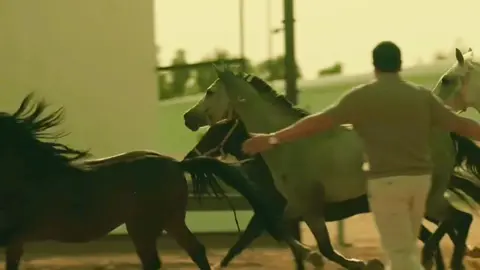 #هيثم_يوسف #اغوى_كويتيين🇰🇼 