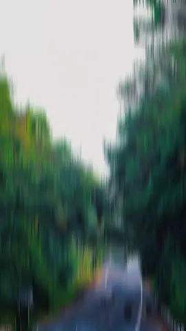 #nhachaymoingay #THICHNGHENHAC 