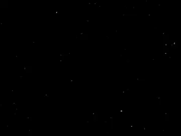 فصل الخريف السلبك عاري وخصومك ناقمه