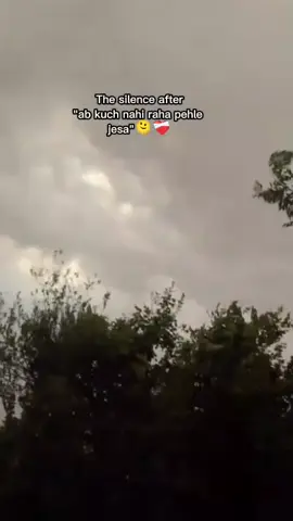 تم میرا وہ خواب ہو جو کبھی پورا نہیں ہو سکتا🥹❤️‍🩹 #CapCut 