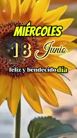 Bendecido miércoles 🙏🏻 Buenos Días 😇🙌🏻❤️ #Dios #oracion  #buenosdias #oracionespoderosas #Jesús #bendiciones #junio #felizlunes #fyp #oraciondelamañana #paratiiiiiiiiiiiiiiiiiiiiiiiiiiii  #fyp