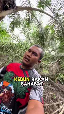 Cabaran kebun sawit tanah gambut