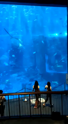 AQUARIUM terbesar di negara ASIA Singapore ❤️❤️❤️🥰