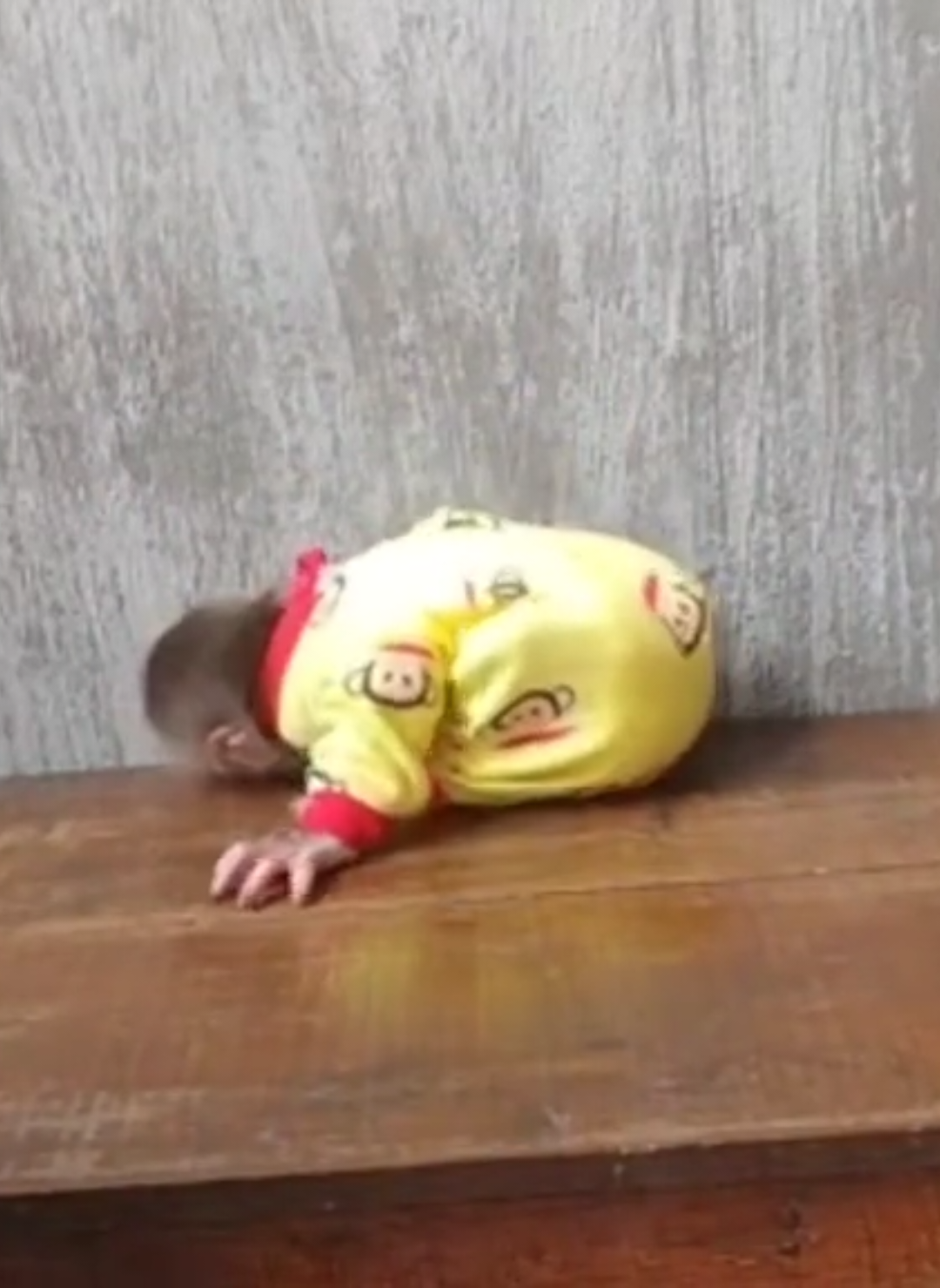 Khỉ Cubin hờn dỗi nhất năm đã xuất hiện cười xỉu @Cubin1275 #xuhướngtiktok #cưngmuốnxỉu #yp #ViralVideo #MonkeyMood #FunnyMonkey #MonkeyTok #TikTokTrend 