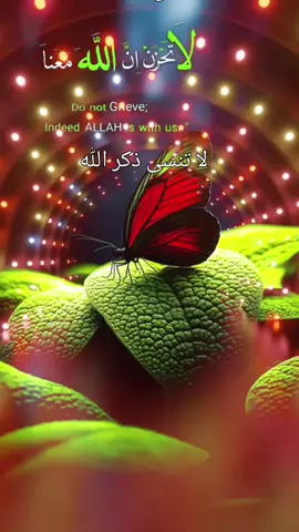 لا تنسى ذكر الله #القران_الكريم #صباح_الخير #explore #fouryou 