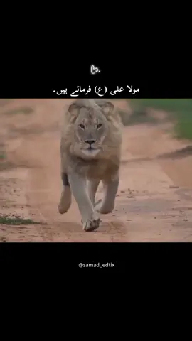 Repost🌾🌏#viralproducts  #1mviews  #urduadaburduadab  #urduadablines #tremding  #vural #views #samad_edtix  #dountandervewmyvideo # support me #1m #100k  #tiktok @TikTok