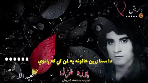 عبیدالله جان کندهاری  غزل  دا ستا زرين 