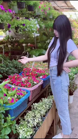 เราจะรวยเมื่อไหร่🤣