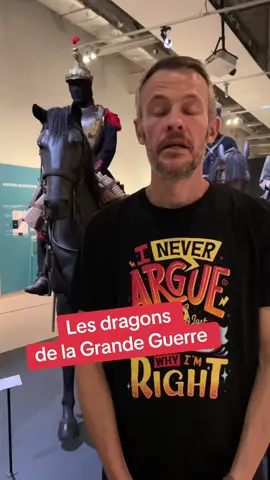 Cest quoi les dragons dans la Première Guerre mondiale ? #chevaux #cavalerie #expochevaux1418 #ww1  #guerre #culturetiktok 