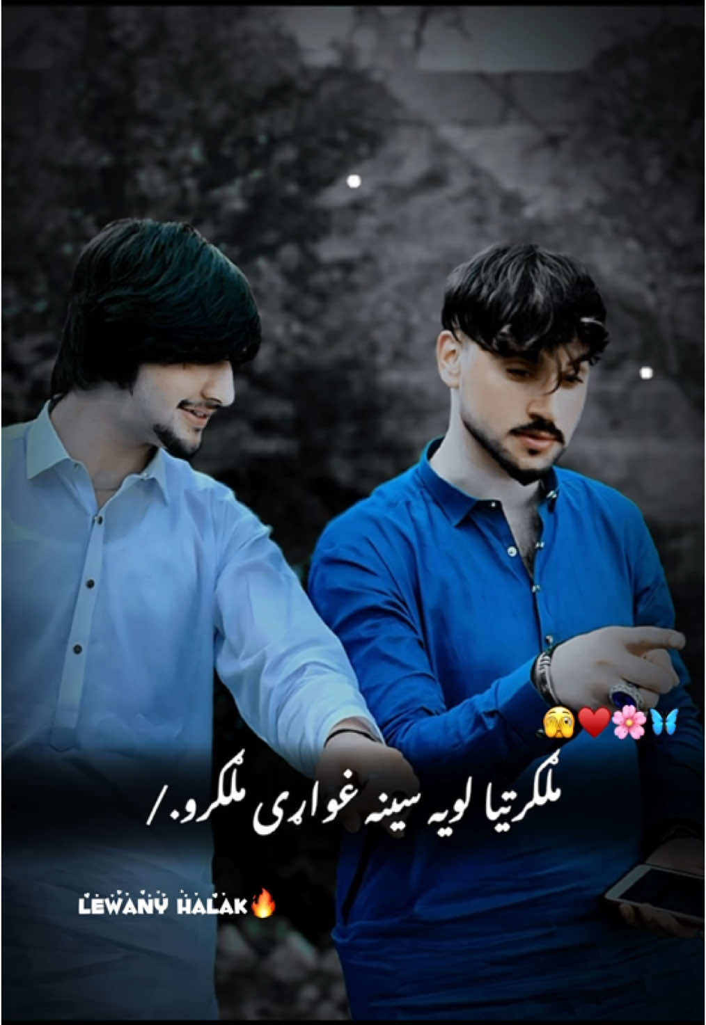 Malgartya loya sena ghware malgaro🫵👥😞💯#foryou🔥 #foryoupage💕🙌🏻 #foryoupageofficiall🦋🥀🫣#unfrezzmyaccount🙏🙏 #growmyaccount #تاجیک_هزاره_ازبک_پشتون_ترکمن🇦🇫 @♥️Zenokhan🫶 @👑 𝑷 𝑼 خ 𝑻 𝑶 𝑶 ن 👑 @😚Ｓａｄａ ｈａｌａｋ🤍 