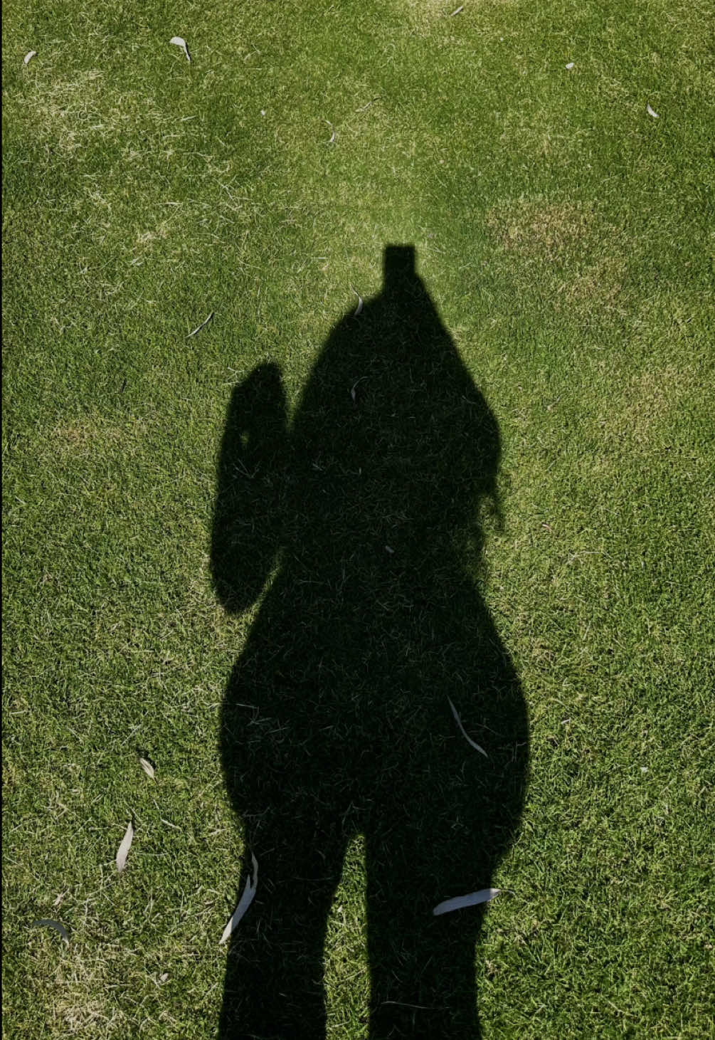 got a few dms so these are the leggings from the video. I LOVE them (they’re so soft and long 🫶)______________________________________________________ #leggings #tiktokshopfinds #fyp #yogapants #gymoutfit #gymootd #gifted 