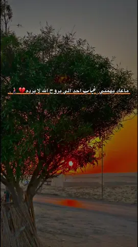 ماعاد يهمني ﮼غياب احد الي يروح الله لا يرده💔🚶🏻‍♂️.#مالي_خلق_احط_هاشتاقات🧢 