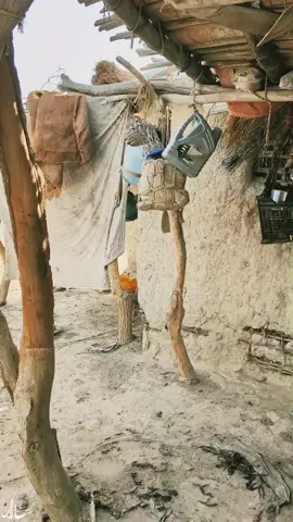 تلوسیت سہتءُ دمانءَ دل تئی دیدارا۔۔۔ @nadeem_b_baloch  . . . . #foryou #trending #viralvideo  #viral #tiktok #viraltiktok 