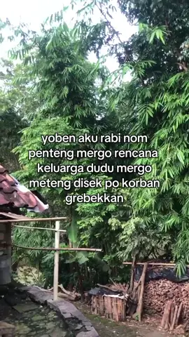 ohhh 🤣 #4u #foryou #fyp #jowostory #lamaran#otw#nikahmuda#laguviral 