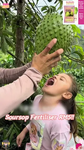 Nice！#Soursop#garden #gardening #viral #murah #malasiya #tiktokshop #fertiliser\;;