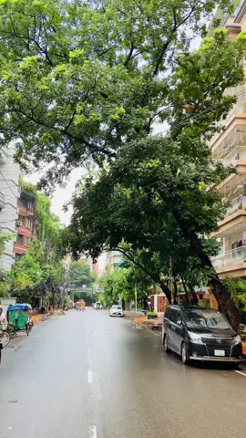 Dhanmondi 28 no.  #foryoupageofficiall #viralvideo #dhaka #viral #bangladesh #foryou 