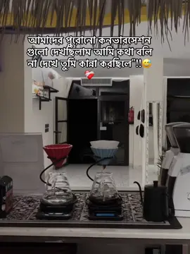 আমাদের পুরোনো কনভারসেশন গুলো দেখছিলাম আমি কথা বলি দেখে না তুমি কান্না করছিলে