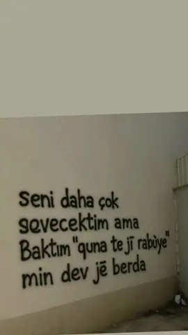 ✌️✌️✌️✌️✌️
