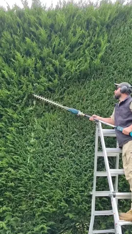 #gardening #garden #cleaning #clean #asmr #fyp 