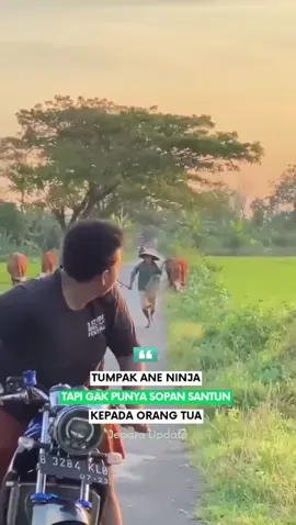 nom noman Taek🥵😡🤬 #jeparastory #Jepara #fypシ #fyp #fyp #fypp #kejadiankotajepara #jeparahariini #jepara #jeparaviral #jeparahits #jeparacantik #info #jepara24jam #infojepara #jeparamakmur #jeparakekinian #informasi #jeparaupdate #ninja #kawasaki 