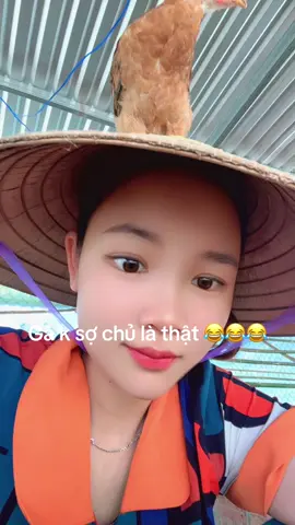 #emlacogainhaque #đammechannuoi 