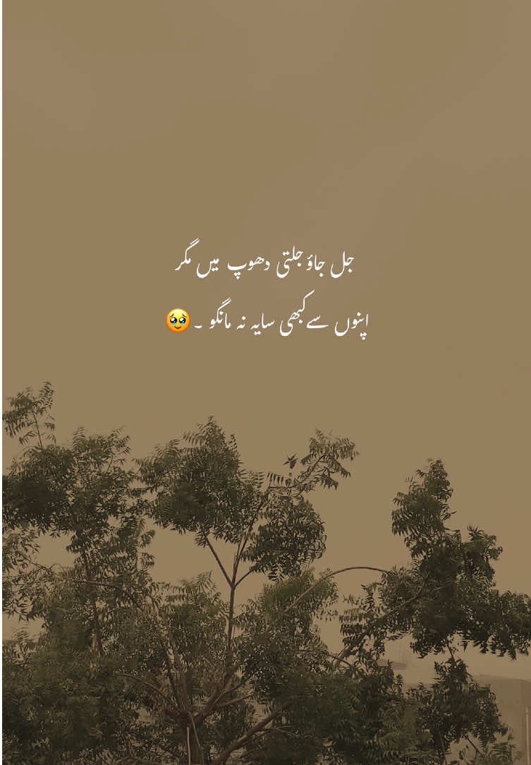 True💔💯#viralvideos #poetry #fyp #fyppppppppppppp #fypp #aestheticvideos #grow #account 