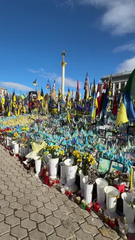 #дружинагероя #війна #алеяслави #київ #прапорукраїни🇺🇦 