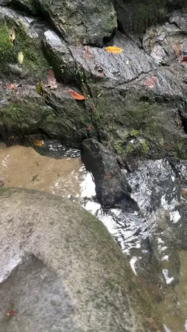 Air Terjun Jawi-Jawi🤩🥰 #fyp #jawijawi #luwuutara #healing #airterjun 