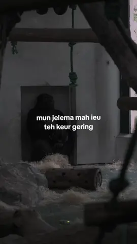 😌 #capruk #storysunda #monyetgalau #atuheuy 