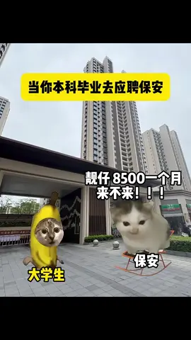 #猫咪 #2025 #猫meme #cat #猫meme小剧场 