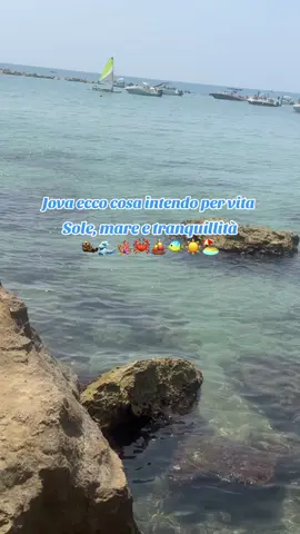 🏖️☀️🏝️🐚👙