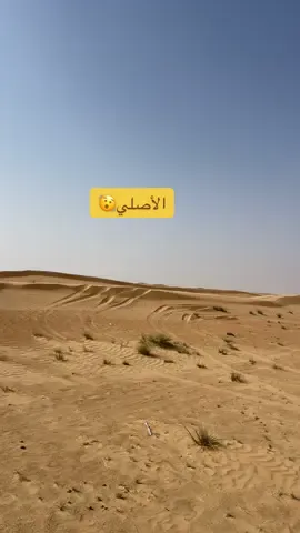المقطع الأصلي👋🏻 #رجيتك_الكعبي #النهايات_ابتدت 