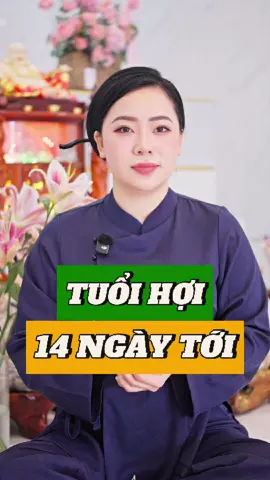 Tuổi Hợi 14 Ngày Tới #xuhuongtiktok #tiktok #trendingvideo #phongthuy2025 #talinhphongthuy #14ngaytoi #tuoihoi2025 #tamlinhphongthuy 
