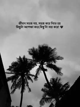 জীবন সহজ নয়, সহজ করে নিতে হয় কিছুটা অপেক্ষা করে,কিছু’টা সহ্য করে! 🖤 #fy #fyp #fypage #fypp #fyyy #fyyyyyyyyy #fyyyyyyyyyyy #fyyyyyyyyyyyyyyyy #caption #writer #status #akash #sky #weather #view #100k #iphone11 